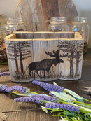Moose Wildflower Wood Box – Blue Daisy & Cedar Arrangement