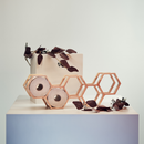 Hexagon Wall Toilet Roll Storage